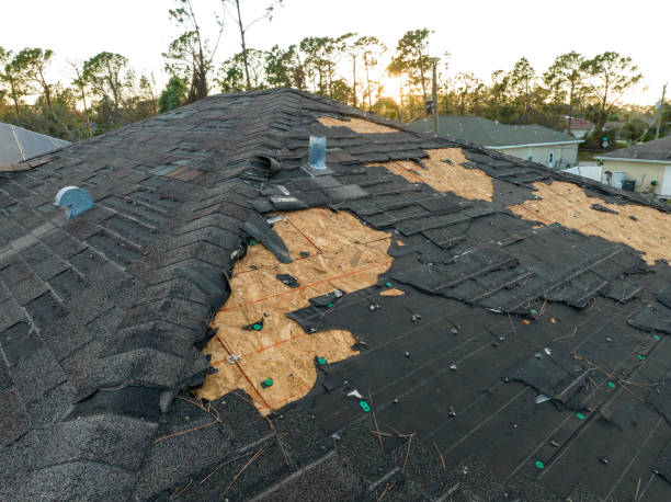 Reliable Edina, MN Roofing Service Solutions