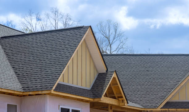 Best Sheet Metal Roofing  in Edina, MN