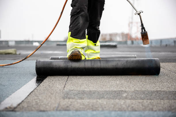 Best Commercial Roofing Services  in Edina, MN
