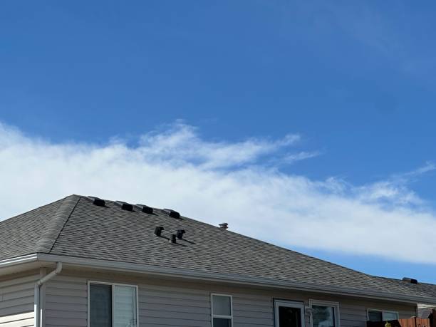 Roof Coating Services in Edina, MN